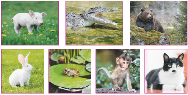 Задание рисунок 1