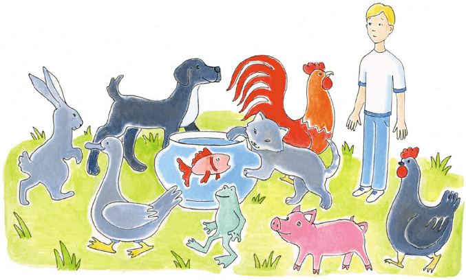 Задание рисунок 1