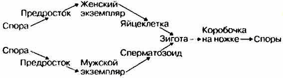 Решение рисунок 1