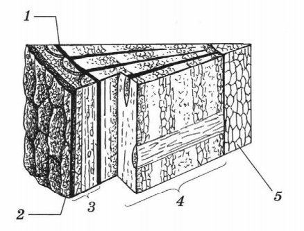 Задание рисунок 1