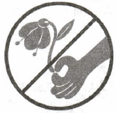 Задание рисунок 1