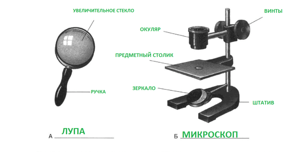 Решение рисунок 1