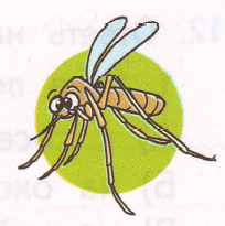 Задание рисунок 3