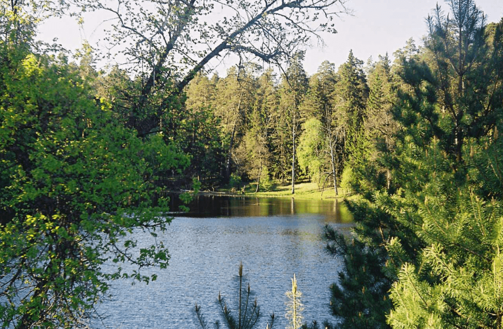 Решение рисунок 2