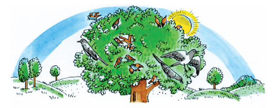 Задание рисунок 1