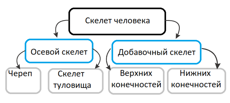 Решение рисунок 1