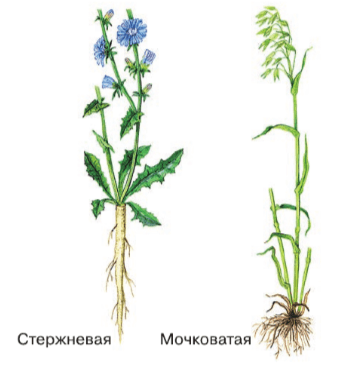 Решение рисунок 1