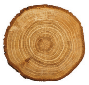 Решение рисунок 1