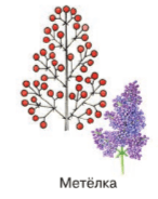 Решение рисунок 2