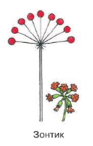 Решение рисунок 1