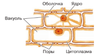 Задание рисунок 2
