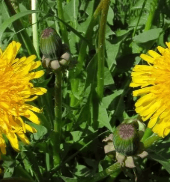 Решение рисунок 2