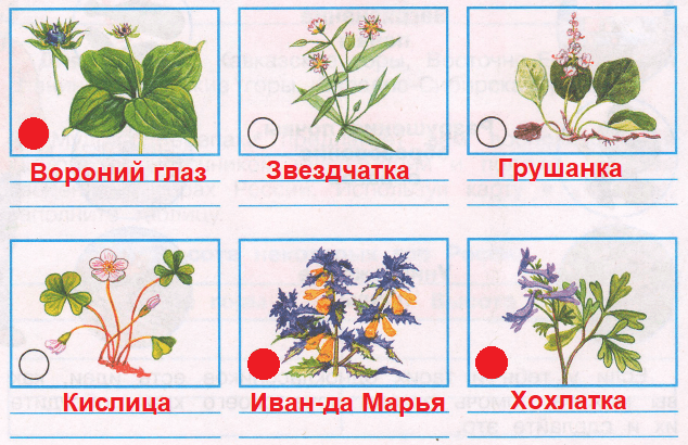 Решение рисунок 1