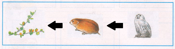 Решение рисунок 1